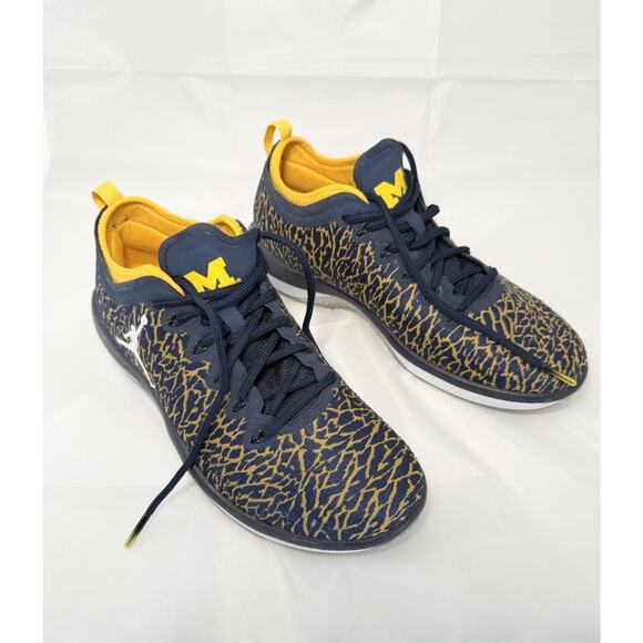 Jordan Jumpman Trainer 1 Low Michigan Wolverines Size 8.5 Style 845403-420 - Picture 1 of 8